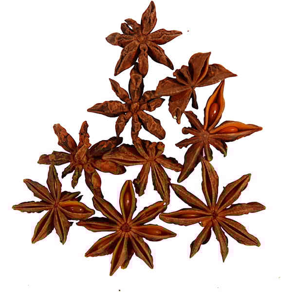 Creativ Company - Star Anise 10 pcs.