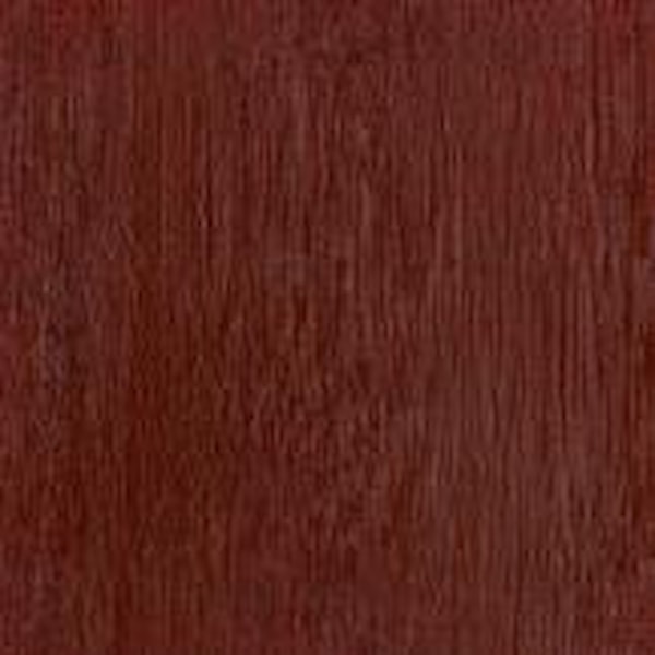 Winsor & Newton Professional Acrylic Akrylfärg 200 ml 074 Burnt Sienna