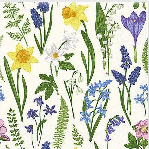 Matservietter Landskapsblomst 20-pack Gullers