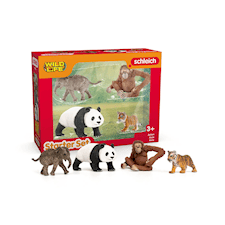 Schleich Wild Life "Asia" Starter Set