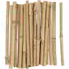 Bambupinnar 20 cm 8-15 mm 30-pack