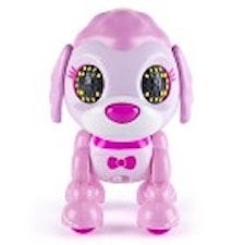 Zoomer Zupps, Poodle Coco