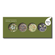 Glassmagneter Sett Customworks