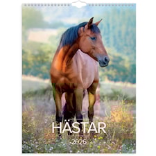 Väggkalender 2026 Stora Hästkalendern 295x390 mm Burde