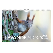 Väggkalender Levande Skog 2026
