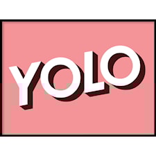 YOLO You only live once Poster50x70cm