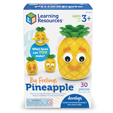 Lär dig om Känslor Aktivitetsset med Ananas Learning Resources