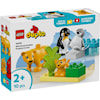 Vilda djurfamiljer: Pingviner och lejon LEGO® DUPLO® Town (10442)