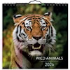 Seinäkalenteri 2026 Wild animals 160x160 mm Burde