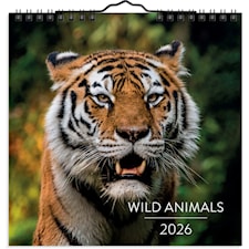 Seinäkalenteri 2026 Wild animals 160x160 mm Burde