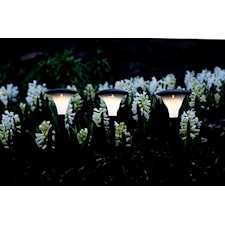 Solcellslampa Gångljus 3st Svart