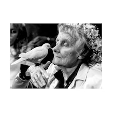 Postikortti A6 Astrid Ja Kyyhkynen Astrid Lindgren