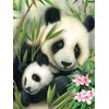 Royal & Langnickel Pandat - Maalaa numerojen mukaan, 33,1 x 24,1 cm