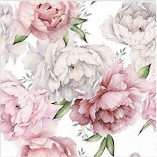 Servetter Pioner 20-pack Gullers