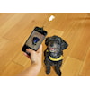 Dog Treat Selfie Clip Kobe