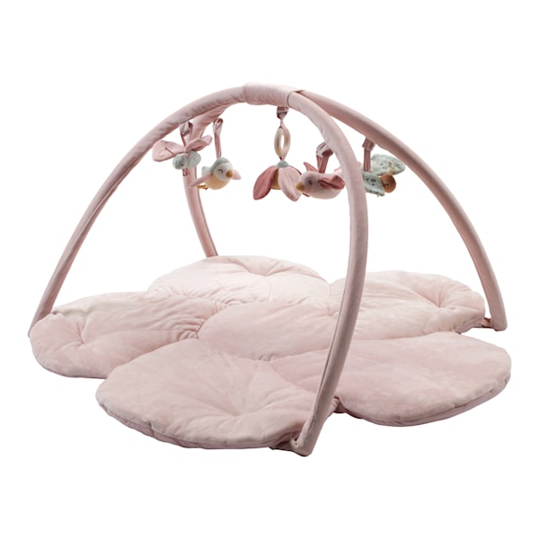 Flowers & Butterflies Babygym, Little Dutch