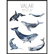 Valar Poster30x40cm