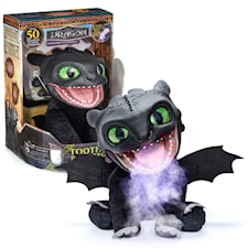 Toothless How To Train Your Dragon