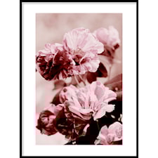 Polkaros Poster30x40cm