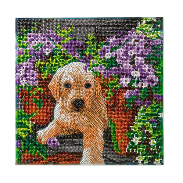 Crystal Art Kit Craft Buddy Floral Pup Canvas 30x30 cm