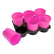 Kryddkrukor 12st, rosa