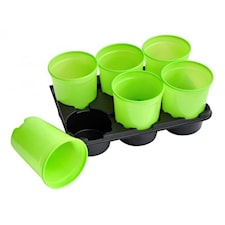 Kryddkrukor 12 st, lime