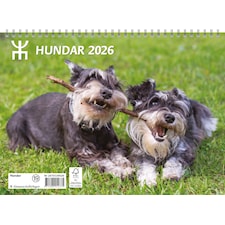 Väggkalender Hundar 2026 Almanacksförlaget