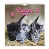 Väggkalender Katter Large 2024 Gullers