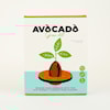 Odlingskit Avocado, Gift Republic Ltd.