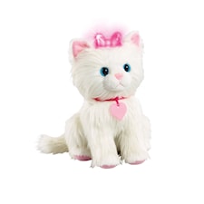 Glittrande Kattunge, Scruffies
