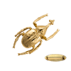 Ioaku Beetle Brooch Alloy Gold