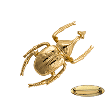 Ioaku Beetle Brooch Alloy Gold