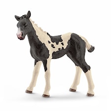 Häst, Pintoföl, Schleich
