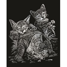Royal & Langnickel Gravyrkonst Silver Kattungar 21,3x29,5 cm