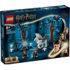Kielletty metsä: Taikaolennot LEGO®  Harry Potter ™ (76432)